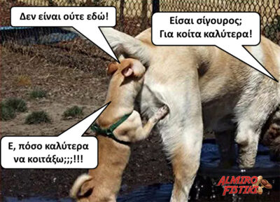 Πόσο καλύτερα; Δεν γίνεται!