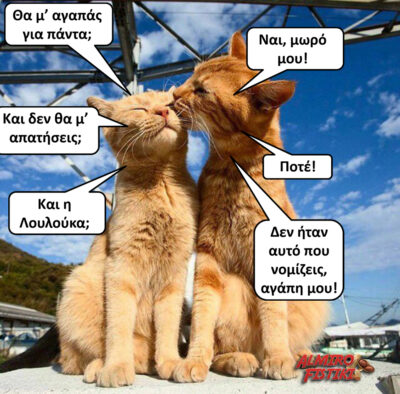 Γατοέρωτες