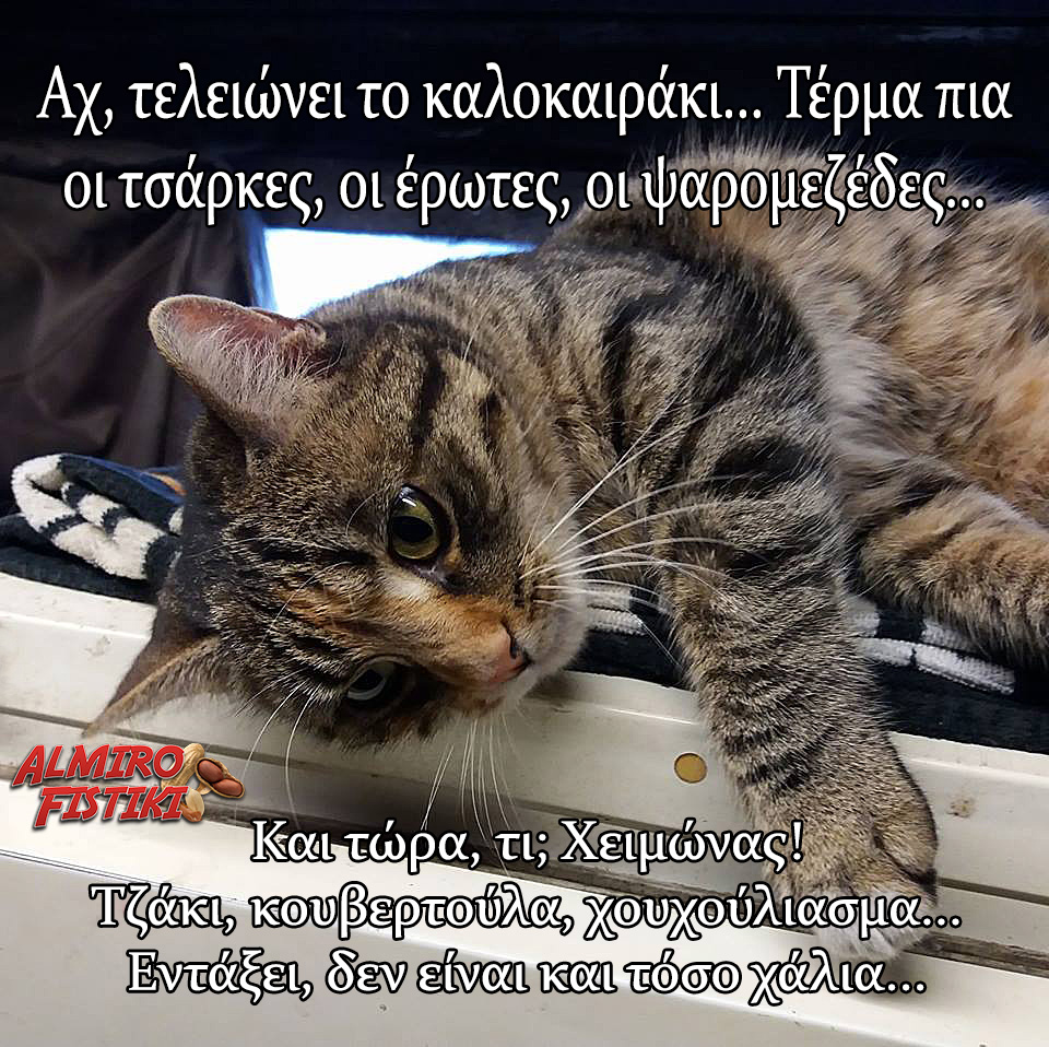 Φθινόπωρο #1
