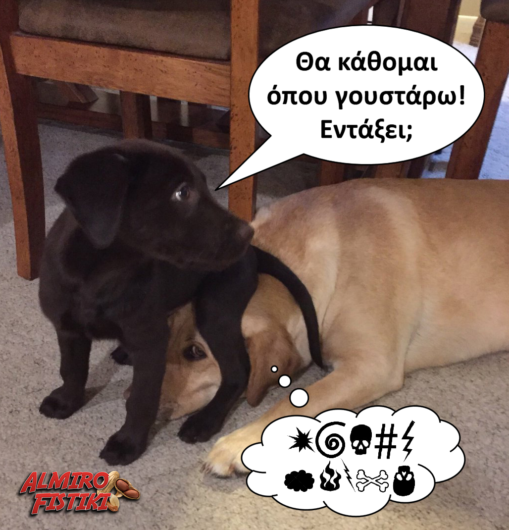 Όπου γουστάρω!