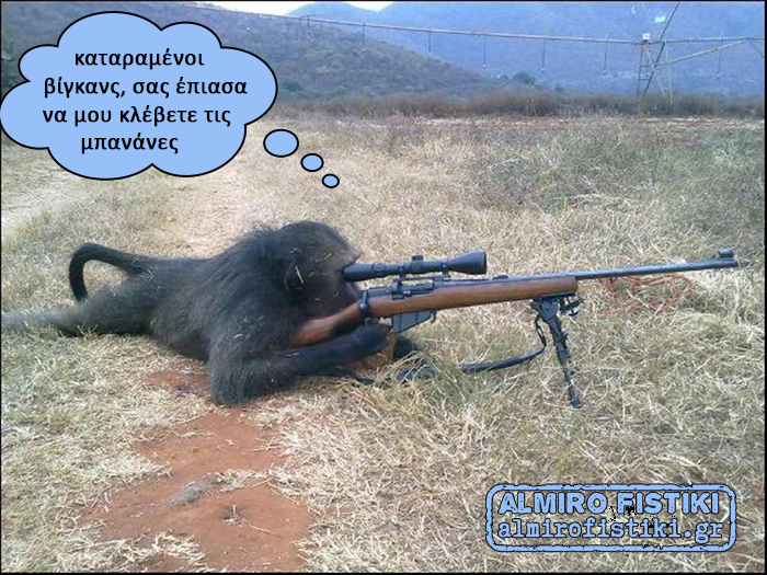 monkey.shooting.gun  - όταν πετυχαίνετε τον βίγκαν που τρώει τις μπανάνες σας