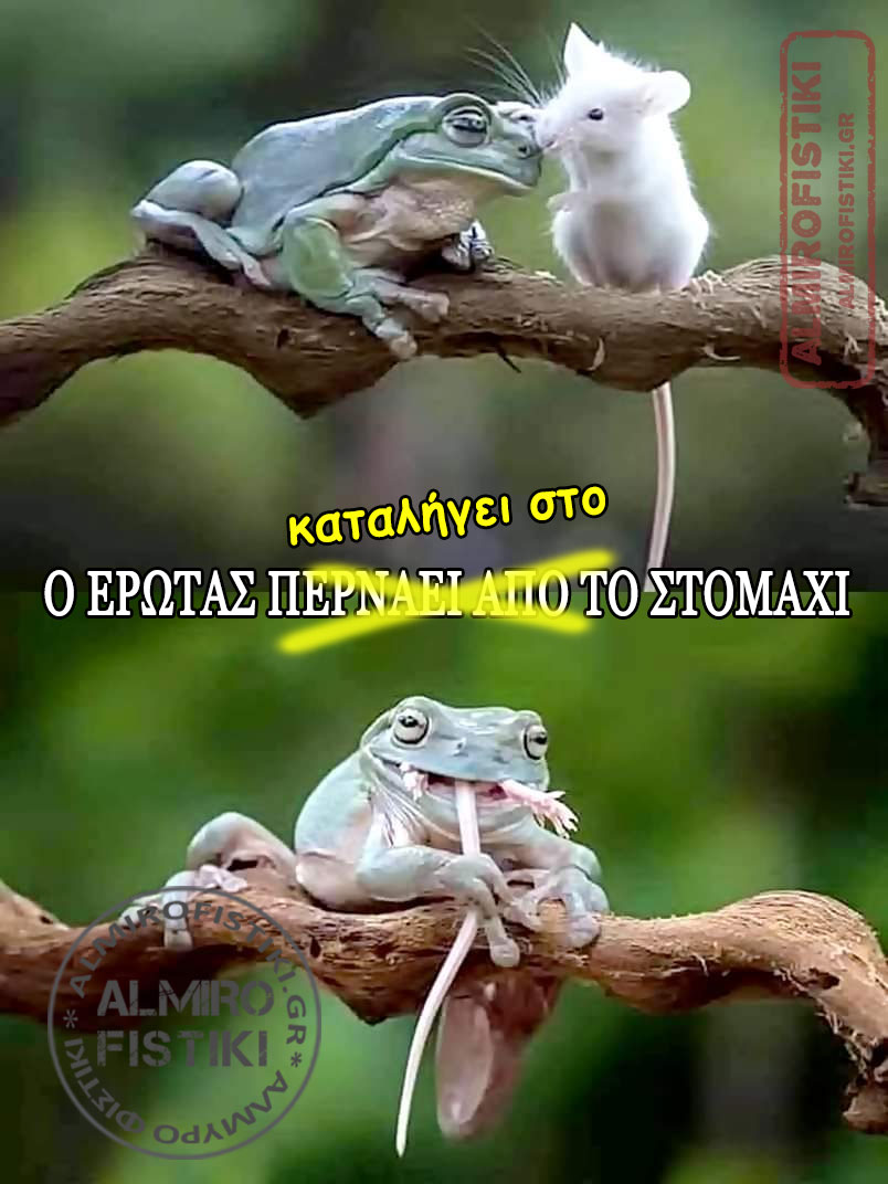 Έρωτας και στομάχι