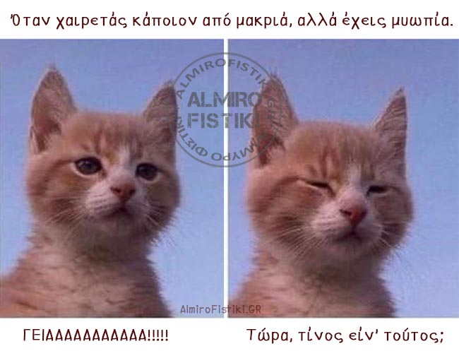 Η μυωπία της γάτας