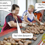 Η τσουτσού του Μήτσου