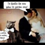 Γατάκι για βραδυνό