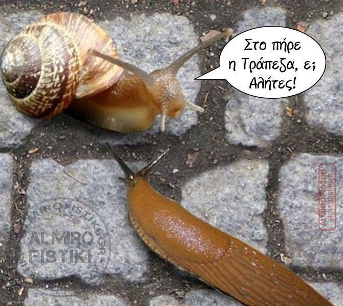 20211210 almirofistiki snails - Κατάσχεση