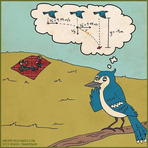pigeon math - Greek Fun! #2 (57 εικόνες)