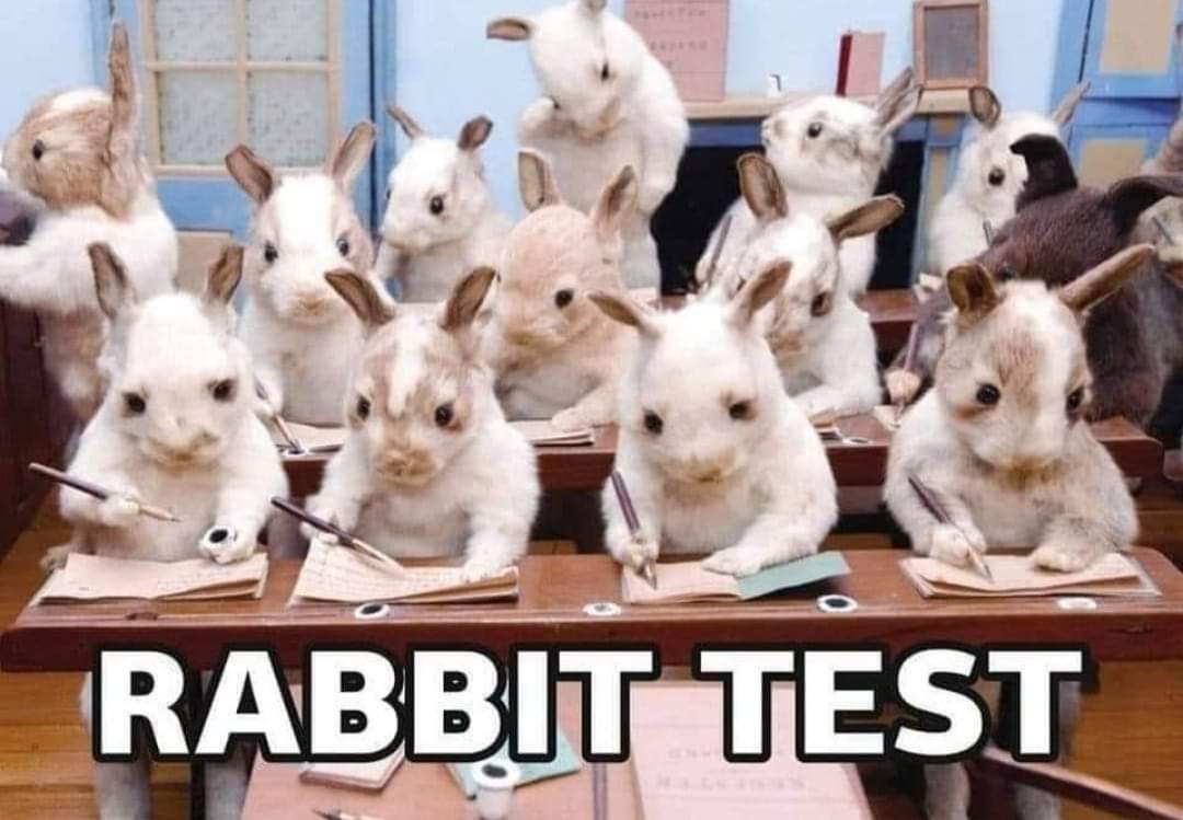 rabbit test - Greek Fun! #2 (57 εικόνες)
