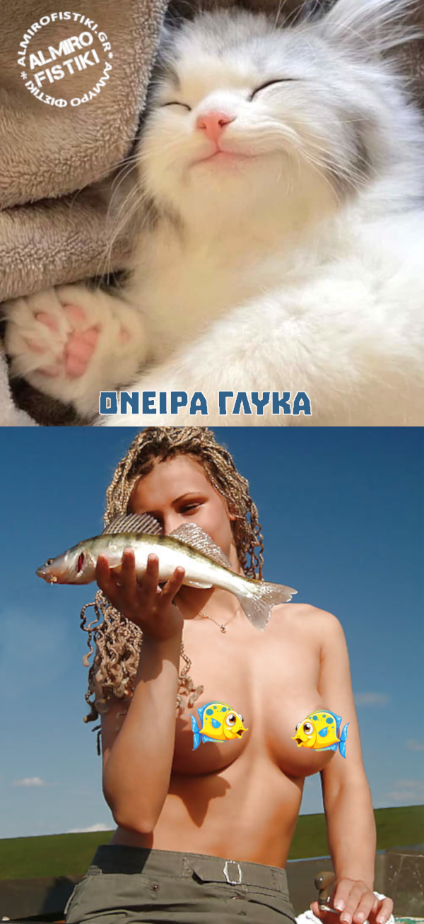 Υπναράς γάτος