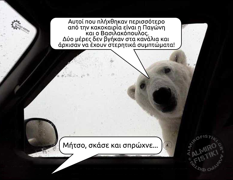 snow bear pagoni - Πληγέντες