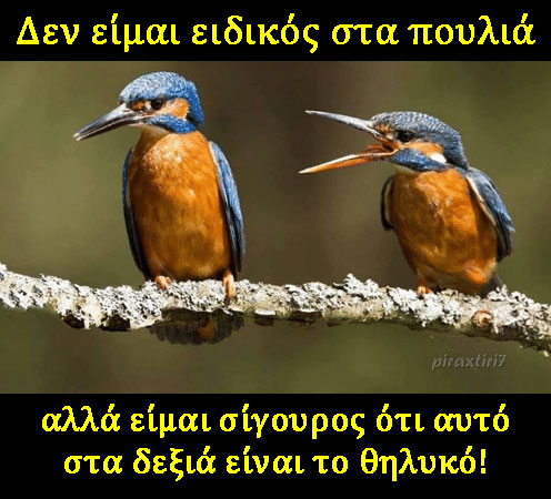 piraxtiri7 not a bird expert - Greek Fun! #3(90 εικόνες)