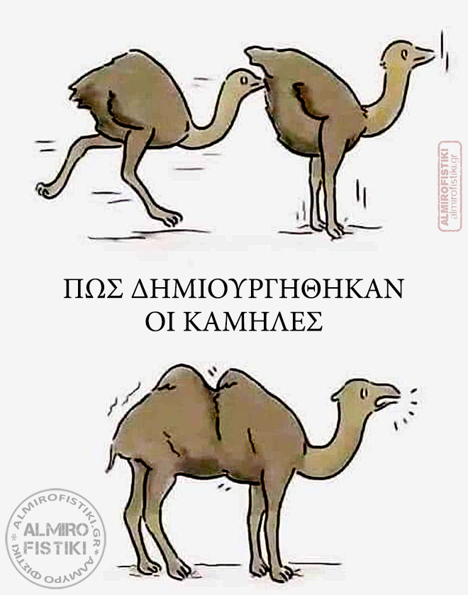 20220507 almirofistiki how camels were born - Έτσι έγιναν οι καμήλες