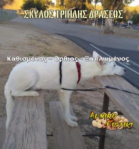 AlmiroFistiki MEME TRIPLE ACTION DOG