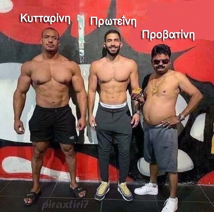 piraxtiri7_%cf%80%cf%81%ce%bf%ce%b2%ce%b1%cf%84%ce%af%ce%bd%ce%b7-jpg