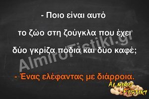 Ένα αστείο ζώο