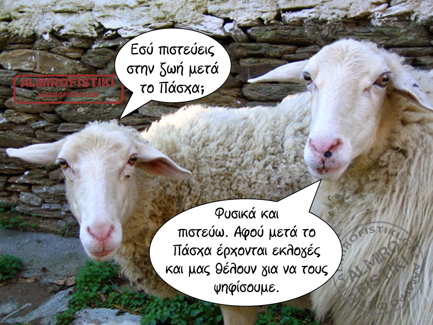 20230410_almirofistiki_sheep_%ce%b6%cf%89%ce%ae-%ce%bc%ce%b5%cf%84%ce%ac-%cf%80%ce%ac%cf%83%cf%87%ce%b1-jpg
