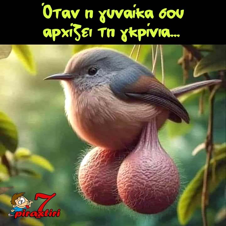 piraxtiri7_%ce%b3%cf%85%ce%bd%ce%b1%ce%af%ce%ba%ce%b1-%ce%b3%ce%ba%cf%81%ce%af%ce%bd%ce%b9%ce%b1-jpg