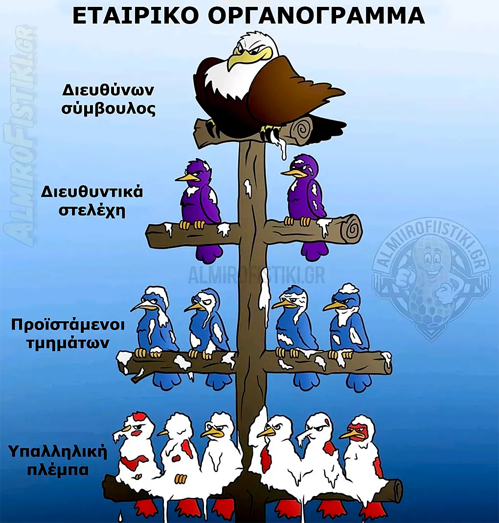 almirofistiki_%ce%bf%cf%81%ce%b3%ce%b1%ce%bd%cf%8c%ce%b3%cf%81%ce%b1%ce%bc%ce%bc%ce%b1-webp