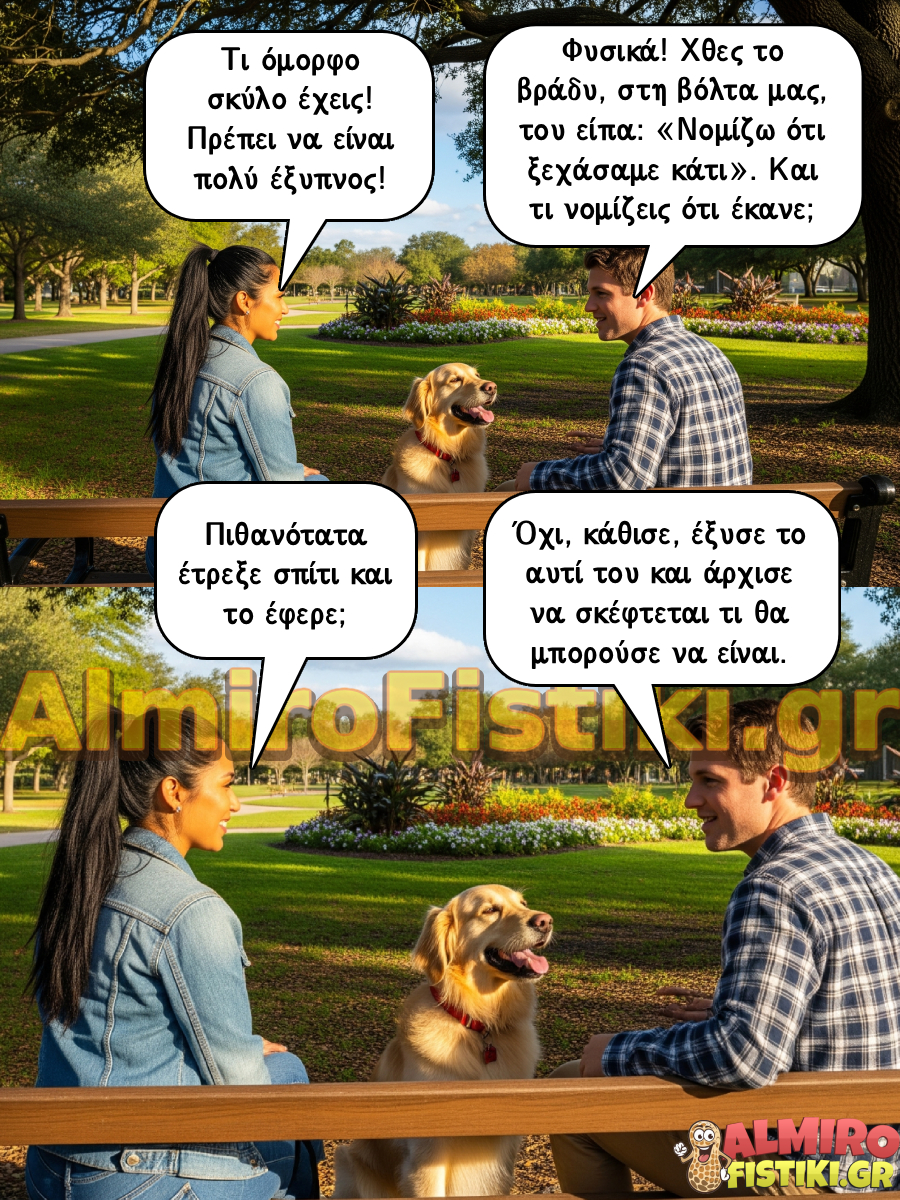 AlmiroFistiki Photostories smart dog