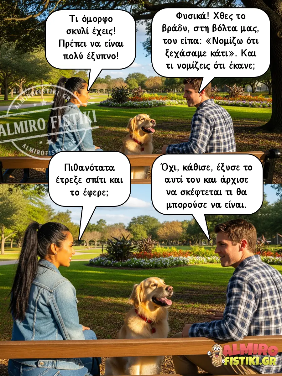 AlmiroFistiki Photostories smart dog