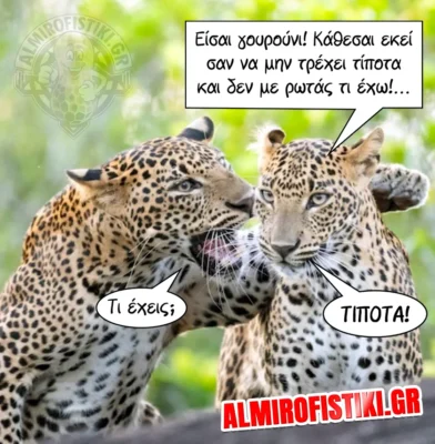 Σ’ όλα τα είδη… το ίδιο!