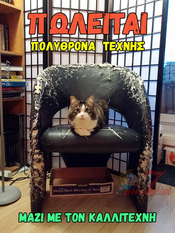 piraxtiri7 cat.art.chair