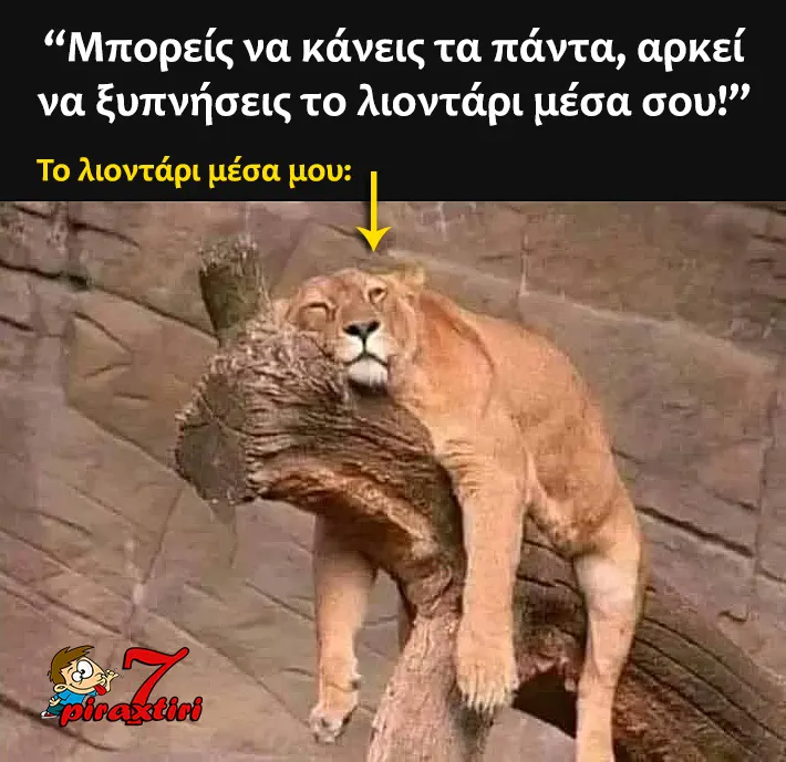 piraxtiri7 lion.within.me