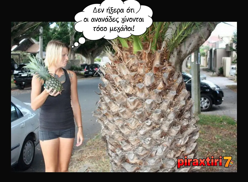 piraxtiri7 μεγάλος ανανάς